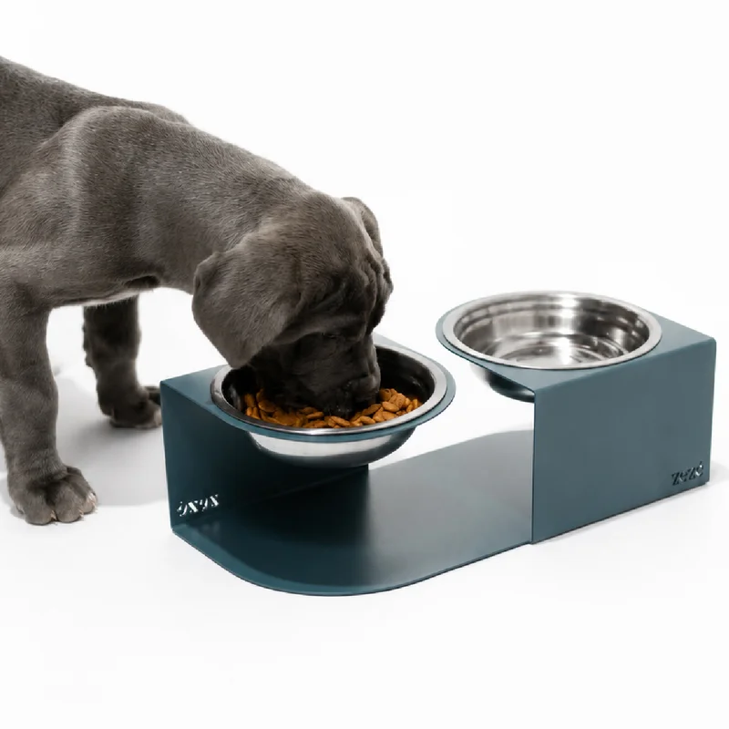 Pet Bowl en Azul - Decoración, Uruguay | Zeze Home Deco, vista 3