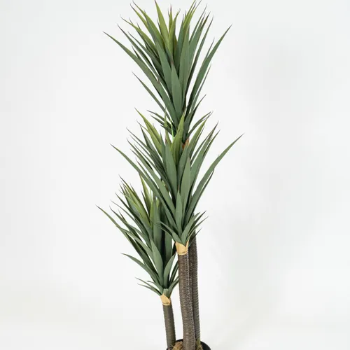 Planta Yucca 150cm - Color Unico en Multicolor - Muebles para el exterior, Uruguay | Indian