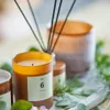 Vela No.6 Sequoia - Velas y Portavelas, Uruguay | Martinika Deco, vista 7 de 10