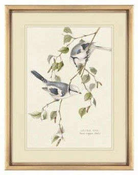 CUADRO BIRDS 2 - MARCO GOLD - 45 X 35 CMS en Dorado - Decoración de pared, Uruguay | La Iberica, vista 3