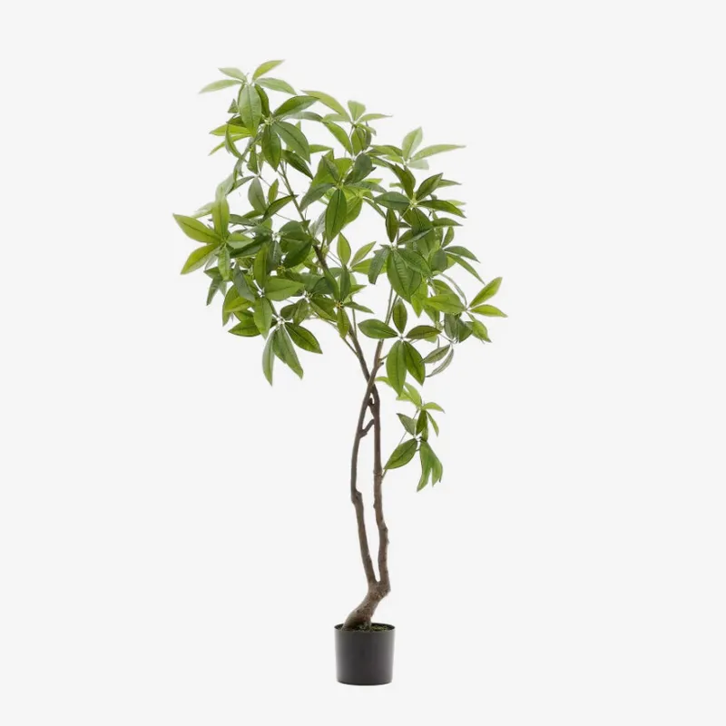 Árbol artificial Pachira con maceta negra 180 cm en Madera natural - Macetas, Uruguay | Kavehome