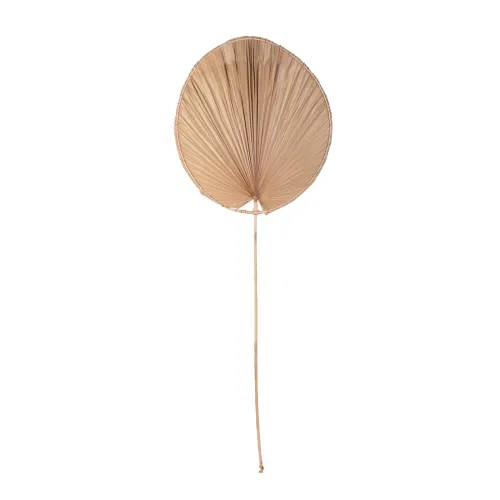 Hoja Decorativa Fibras-naturales Natural-beige Wdl2102 en Madera natural - Decoración, Uruguay | Divino