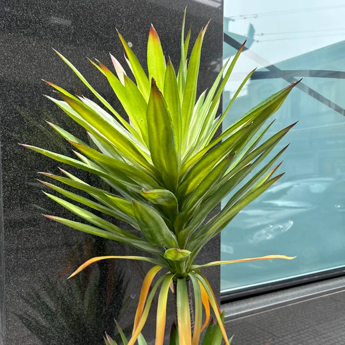 Planta artificial Yucca 165cm en Negro - Macetas, Uruguay | Alta Gracia Deco, vista 7