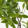 Árbol artificial Pachira con maceta negra 180 cm en Madera natural - Macetas, Uruguay | Kavehome, vista 2 de 4