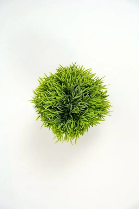 Planta Suculenta Artificial - Color Unico en Multicolor - Decoración, Uruguay | Indian, vista 3