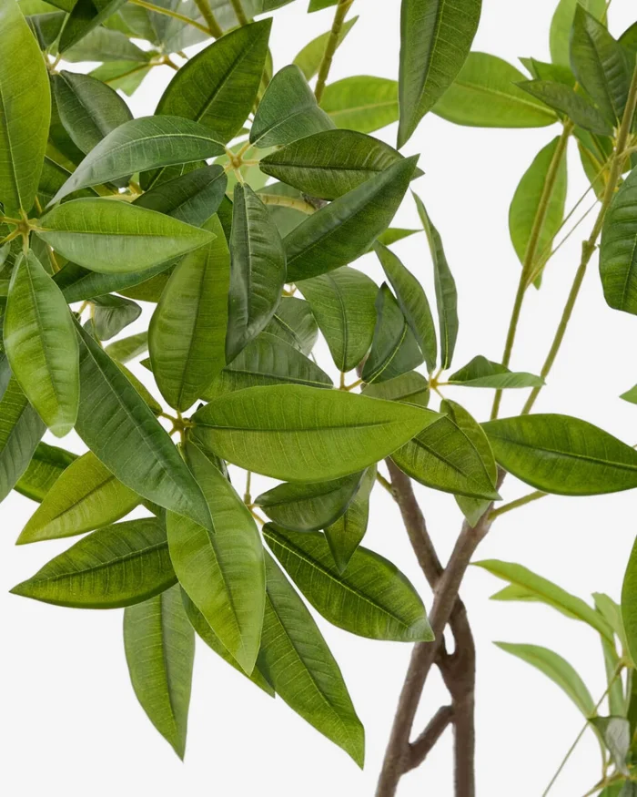 Árbol artificial Pachira con maceta negra 180 cm en Madera natural - Macetas, Uruguay | Kavehome, vista 2