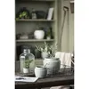 Mini Maceta Ceramica Verde Hilda en Verde - Jarrones, Uruguay | Divino, vista 4 de 4