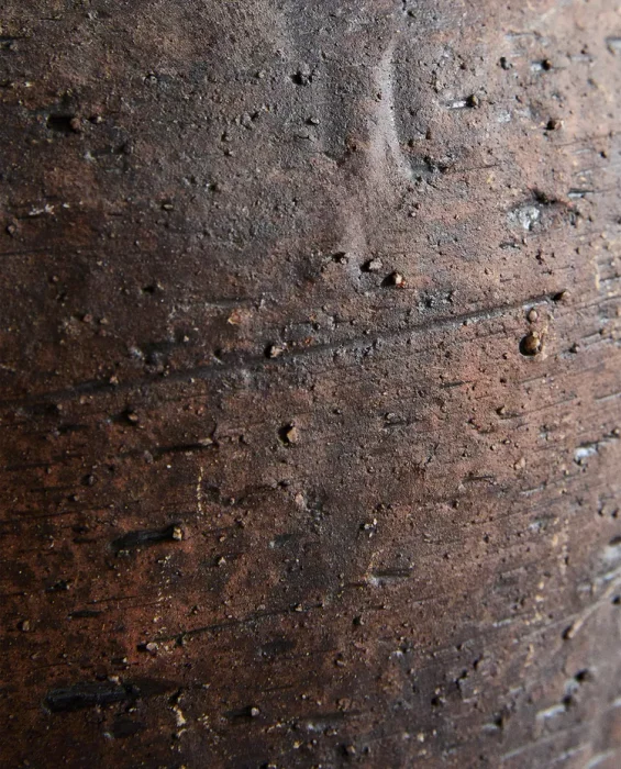 JARRÓN CERÁMICA TEXTURA en Marrón - Jarrones, Uruguay | Zara Home, vista 6