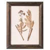 CUADRO - SERIE BOTANICS OSCURO 1 - 55 X 70 CMS - Decoración de pared, Uruguay | La Iberica, vista 1 de 2