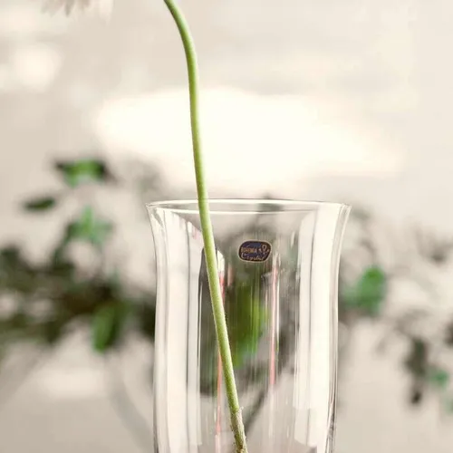 FLORERO DE CRISTAL BOHEMIA ALTO - Jarrones, Uruguay | La Iberica