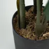 Planta Alocasia - Color Unico en Multicolor - Muebles para el exterior, Uruguay | Indian, vista 4 de 4