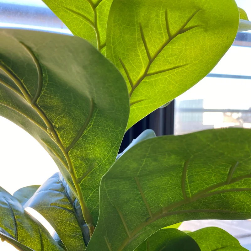 Planta artificial Ficus Lyrata 90cm - Macetas, Uruguay | Alta Gracia Deco, vista 3