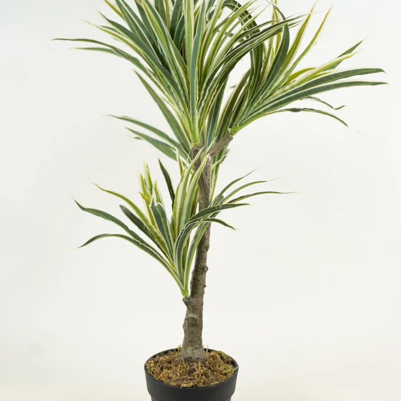 Planta White Grass 70cm - Color Unico en Multicolor - Muebles para el exterior, Uruguay | Indian