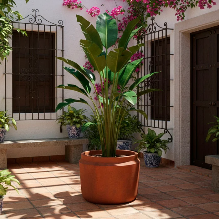 Maceta Cairo Grande en Negro - Macetas, Uruguay | Alta Gracia Deco, vista 3