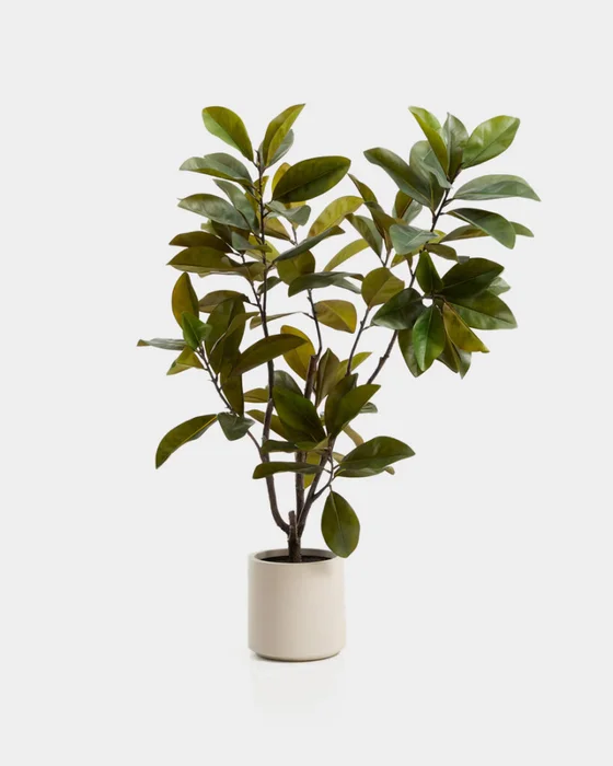 Árbol artificial Magnolia con maceta blanca 160 cm en Multicolor - Macetas, Uruguay | Kavehome