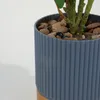 Planta Ficus 40cm - Color Unico en Multicolor - Muebles para el exterior, Uruguay | Indian, vista 3 de 4