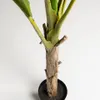 Planta artificial Banano con maceta negro 160 cm en Verde - Macetas, Uruguay | Kavehome, vista 2 de 3