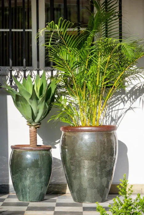 Ernest Moss Green en Mediana - Macetas, Uruguay | Balcony, vista 5