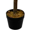 Planta Higuera 130cm - Color Unico en Multicolor - Muebles para el exterior, Uruguay | Indian, vista 3 de 4