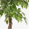 Árbol artificial Ficus con maceta negra 180 cm en Madera natural - Macetas, Uruguay | Kavehome, vista 2 de 5