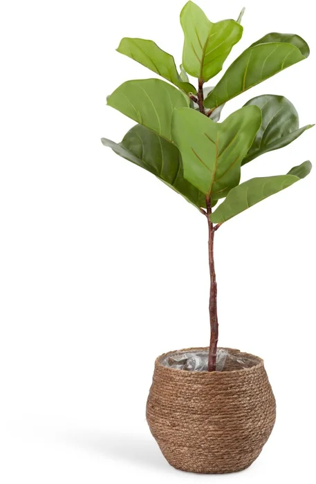 Maceta SIVERT Ø26xA23cm marrón en Marrón - Macetas, Uruguay | JYSK