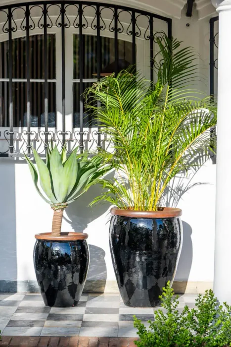 Ernest Black en Negro - Macetas, Uruguay | Balcony