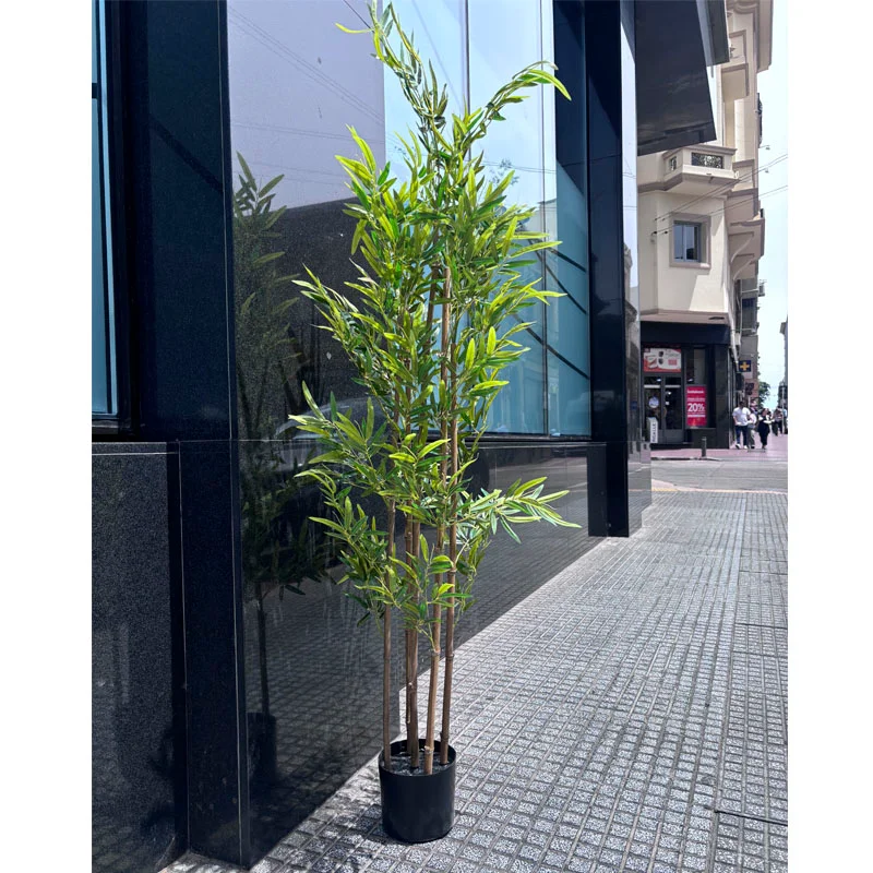 Planta artificial Bambú 160cm en Negro - Macetas, Uruguay | Alta Gracia Deco, vista 5