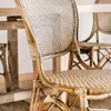 SILLA ROSSINI - SIKA DESIGN - MIEL en Marrón - Sillas, Uruguay | La Iberica, vista 3 de 14