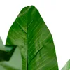 Planta Arum 120cm - Color Unico en Multicolor - Muebles para el exterior, Uruguay | Indian, vista 2 de 4