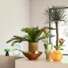 Cuenco Decorativo Escala - Decoración, Uruguay | Aihaus, vista 1 de 2