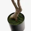 Árbol artificial Pachira con maceta negra 180 cm en Madera natural - Macetas, Uruguay | Kavehome, vista 3 de 4
