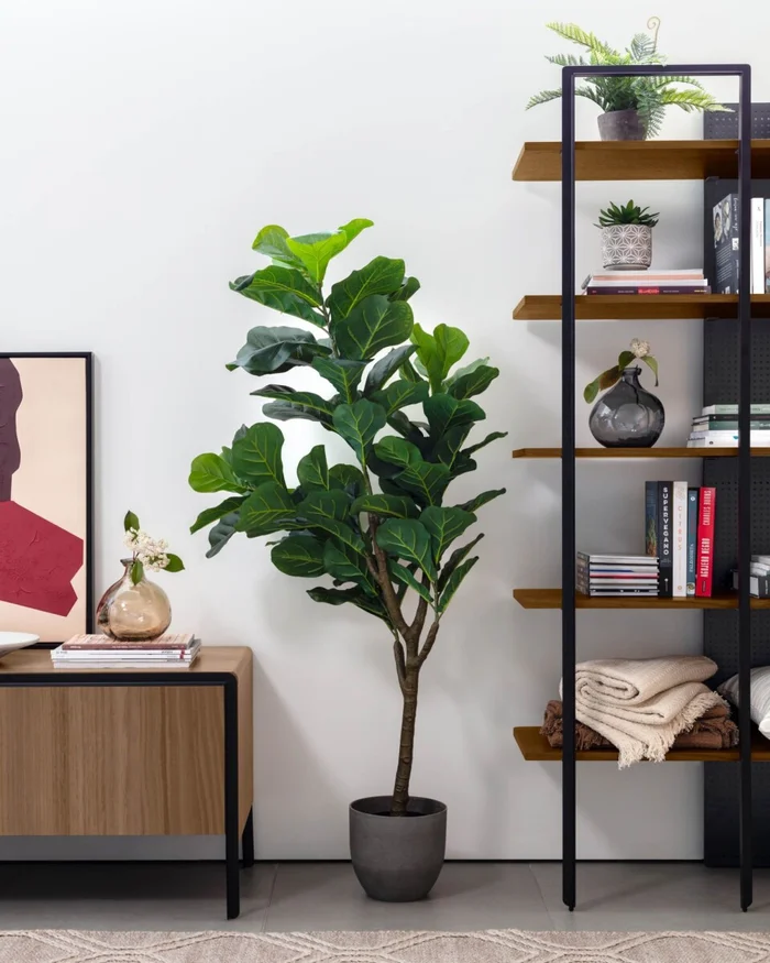 Planta artificial Ficus con maceta negro 150 cm en Verde - Macetas, Uruguay | Kavehome, vista 2
