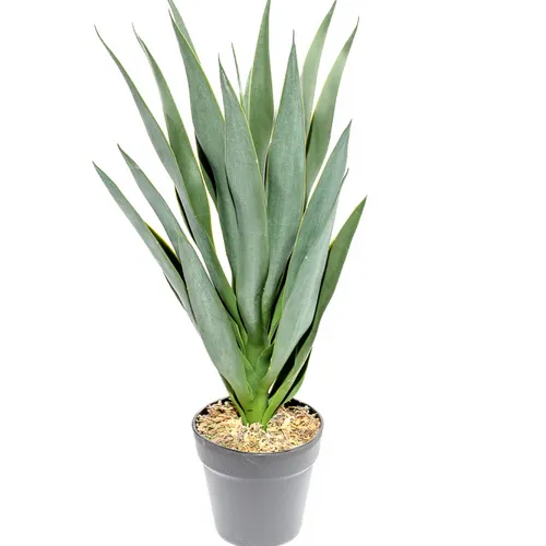 Planta Mandioca 55cm - Color Unico en Multicolor - Muebles para el exterior, Uruguay | Indian