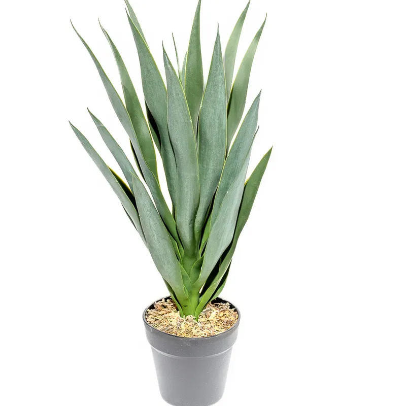 Planta Mandioca 55cm - Color Unico en Multicolor - Muebles para el exterior, Uruguay | Indian