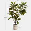 Árbol artificial Magnolia con maceta blanca 160 cm en Multicolor - Macetas, Uruguay | Kavehome, vista 5 de 5