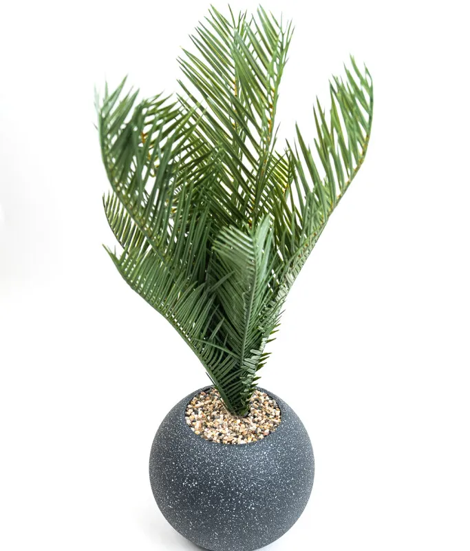 Planta Palmera 50cm - Negro en Negro - Decoración, Uruguay | Indian