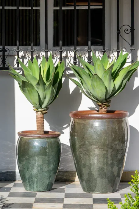Ernest Moss Green - Macetas, Uruguay | Balcony