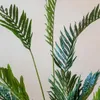 Palmera grande en Negro - Macetas, Uruguay | De Arcos, vista 2 de 2