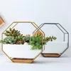 MACETA CERAMICA HEXAGONAL 18x9x18CM BLANCO/DORADO en Blanco - Macetas, Uruguay | Koz, vista 4 de 4