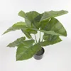 Planta artificial Alocasia Odora con maceta negro 57 cm en Negro, Uruguay | Kavehome, vista 3 de 5