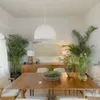 SILLA BERNARD - FRESNO AVELLANA - Sillas, Uruguay | La Iberica, vista 11 de 23