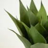 Planta Yucca 35cm - Color Unico en Multicolor - Muebles para el exterior, Uruguay | Indian, vista 2 de 4