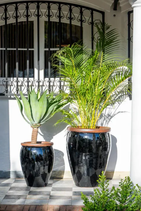 Ernest Black en Negro - Macetas, Uruguay | Balcony, vista 4