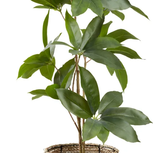 Maceta TERJE Ø25xA23cm natural en Madera natural - Macetas, Uruguay | JYSK