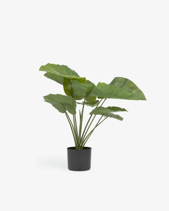 Planta artificial Alocasia Odora con maceta negro 57 cm en Negro - Macetas, Uruguay | Kavehome