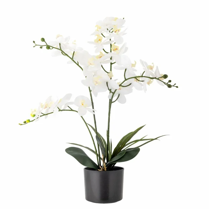 Maceta Orquídea blanca en Blanco - Decoración, Uruguay | Martinika Deco, vista 3