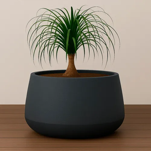 Maceta Bossa Baja en Negro - Macetas, Uruguay | Alta Gracia Deco