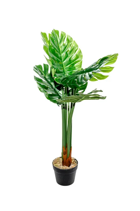 Planta Monstera 85cm - Color Unico en Multicolor - Muebles para el exterior, Uruguay | Indian