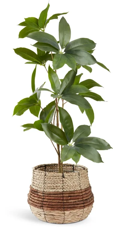 Maceta TERJE Ø25xA23cm natural en Madera natural - Macetas, Uruguay | JYSK