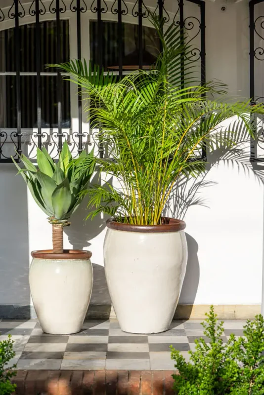 Ernest Creamy White en Mediana - Macetas, Uruguay | Balcony, vista 6